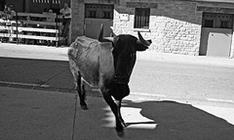Foto noticia - PROGRAMA DE FIESTAS 2023